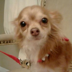 Meet your Posher, Marta